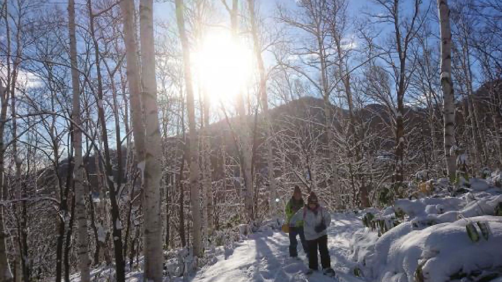 雪之森雪鞋徒步在漫步间畅游雪之森 Goodday Hokkaido